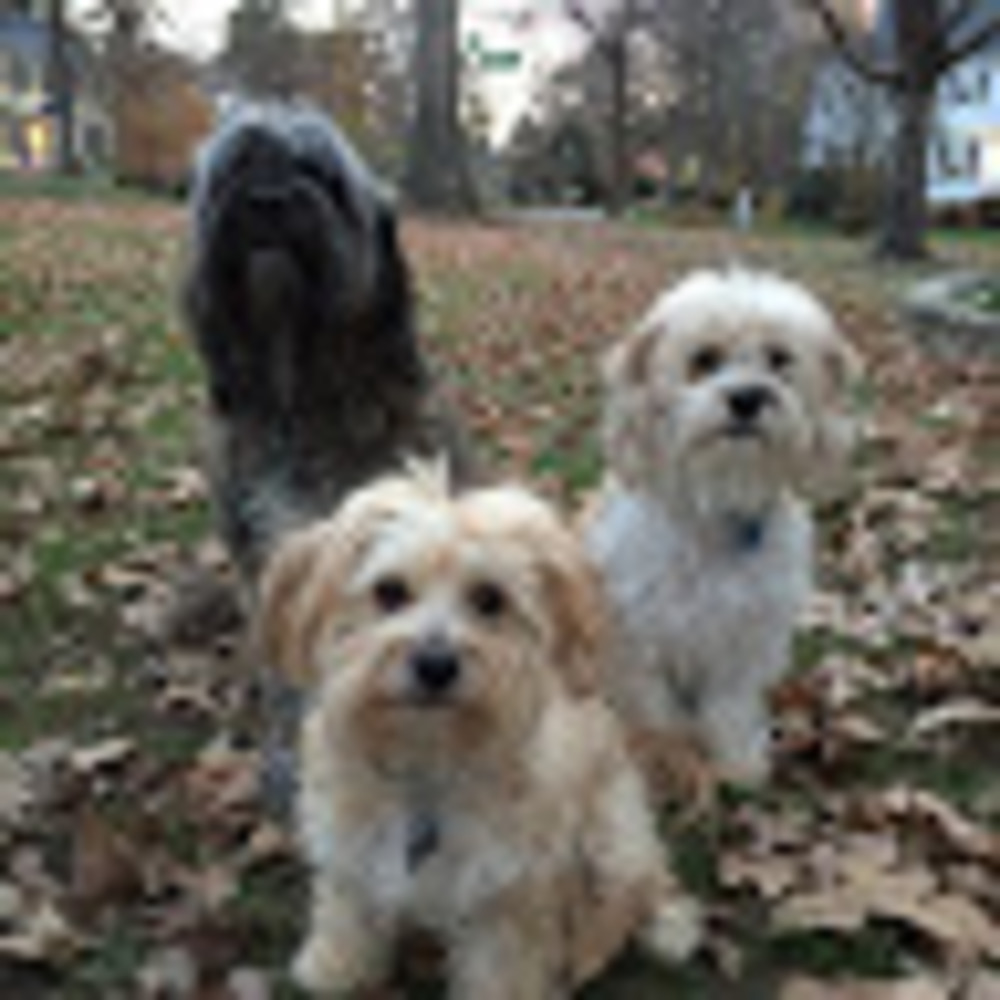 Meet your Posher, Becky